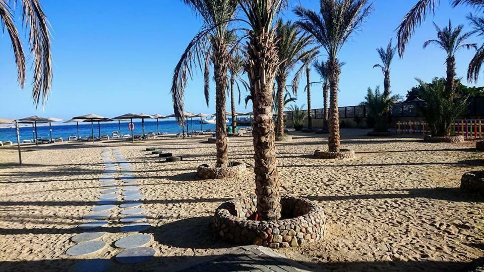 Exoticky Apartman Χουργκάντα Εξωτερικό φωτογραφία