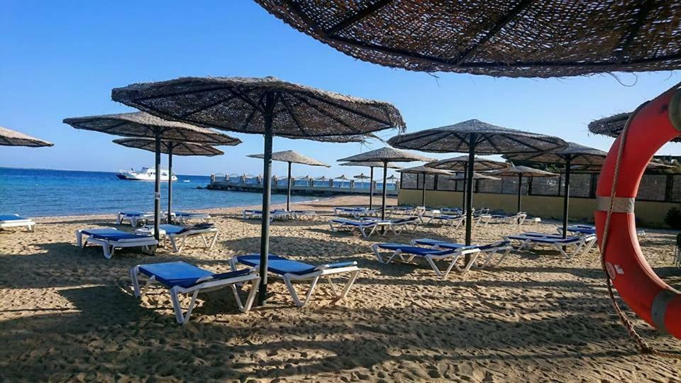 Exoticky Apartman Χουργκάντα Εξωτερικό φωτογραφία